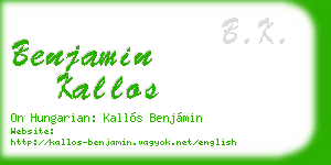 benjamin kallos business card