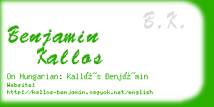 benjamin kallos business card